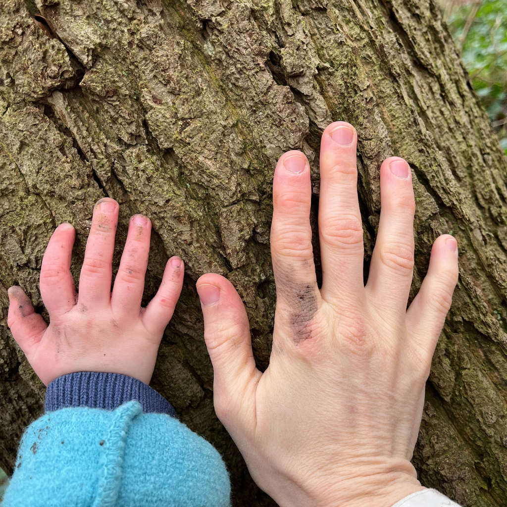 Systemisches PotentialentfaltungsCoaching für Familien - Sandra Schlein, Münster