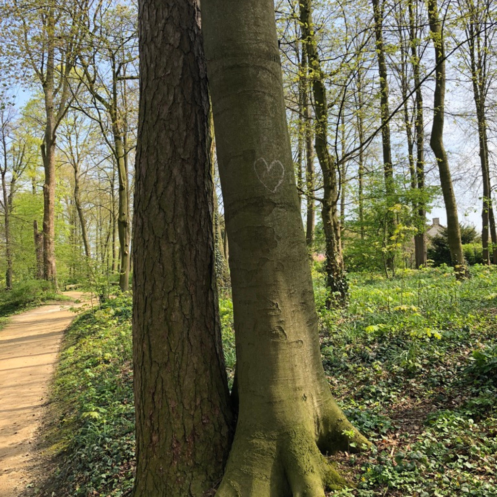 Systemisches PotentialentfaltungsCoaching für Paare - Sandra Schlein, Münster