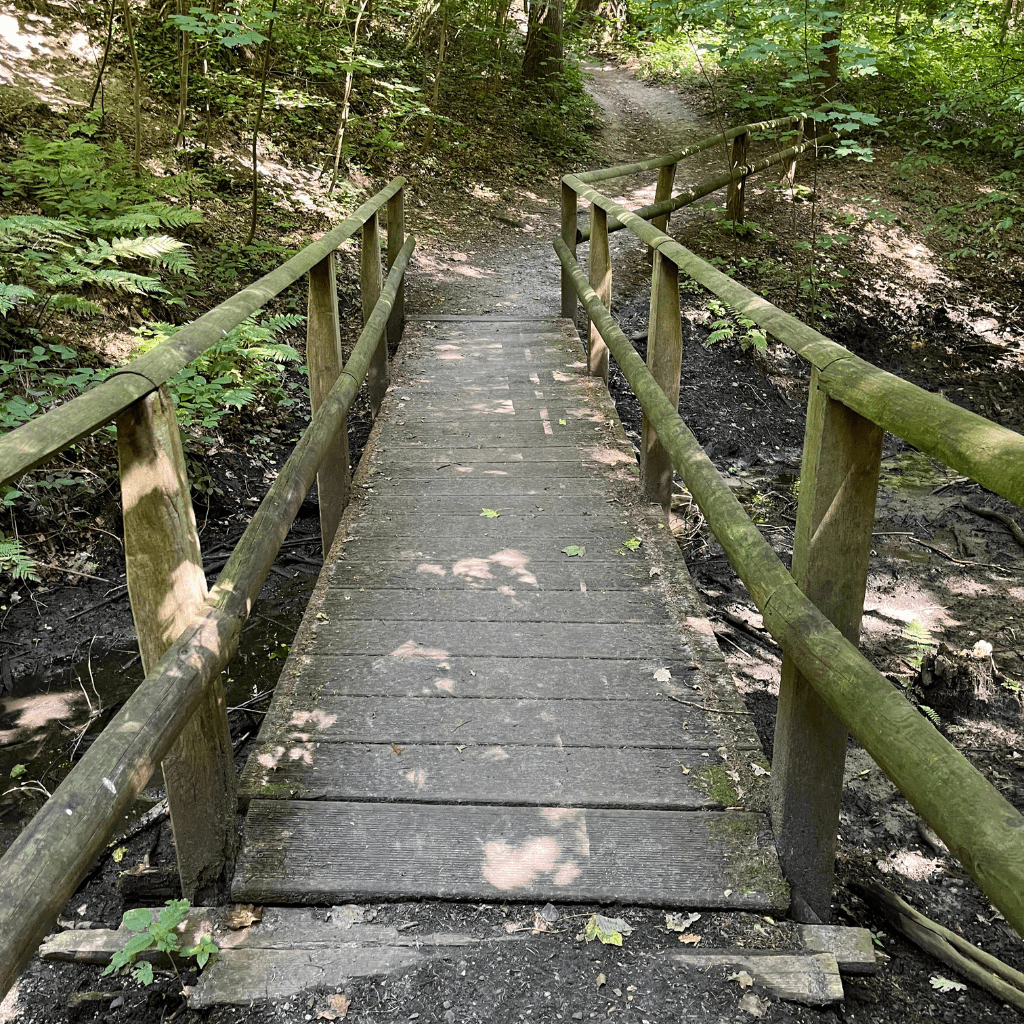 Systemisches Potentialentfaltungs-Coaching - Sandra Schlein, Münster