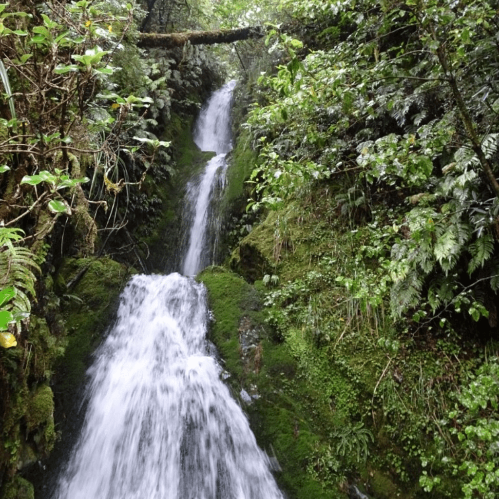 Schmuckbild Investition - Sandra Schlein - Systemisches Potentialentfaltungs-Coachings in Münster Schmuckbild Investition - Sandra Schlein - Systemisches Potentialentfaltungs-Coachings in Münster